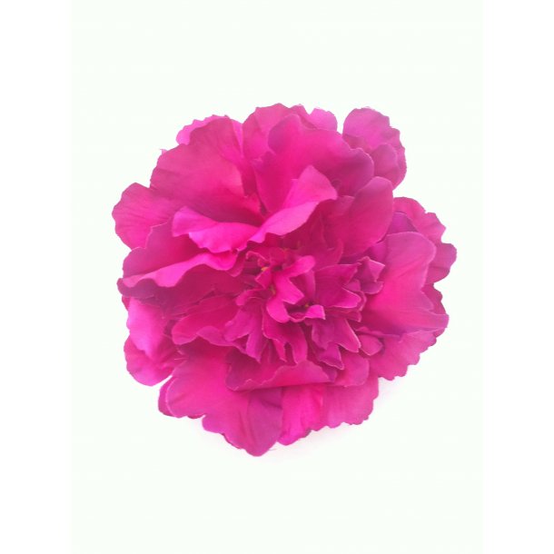 P�on - m�rk pink