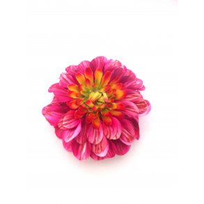 Zinnia - pink