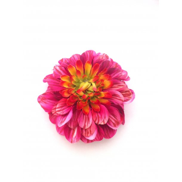 Zinnia - pink