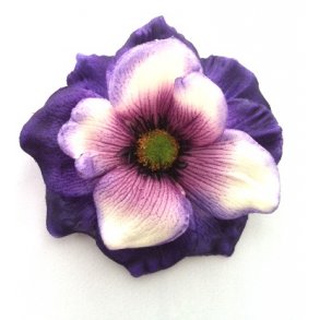 Fransk anemone - lilla