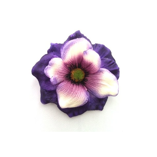 Fransk anemone - lilla