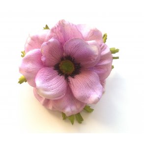 Fransk anemone - lyserd