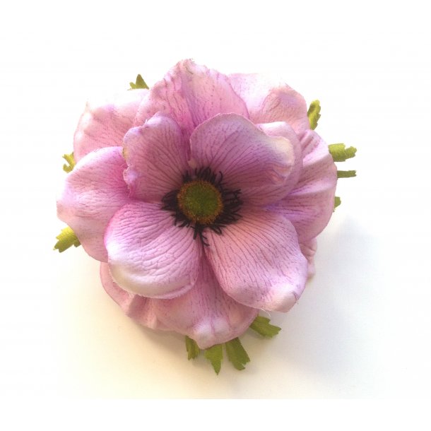 Fransk anemone - lyserd