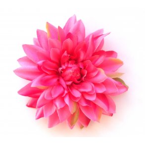 Dahlia Eliza - pink