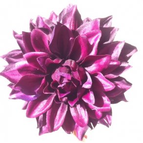 Dahlia Eliza - lilla
