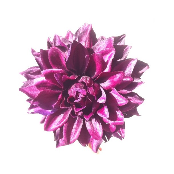 Dahlia Eliza - lilla