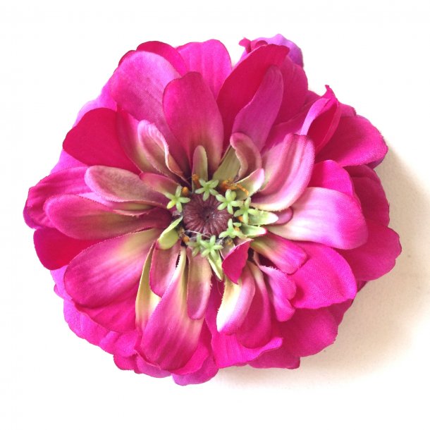 Zennia - Pink / p� elastik