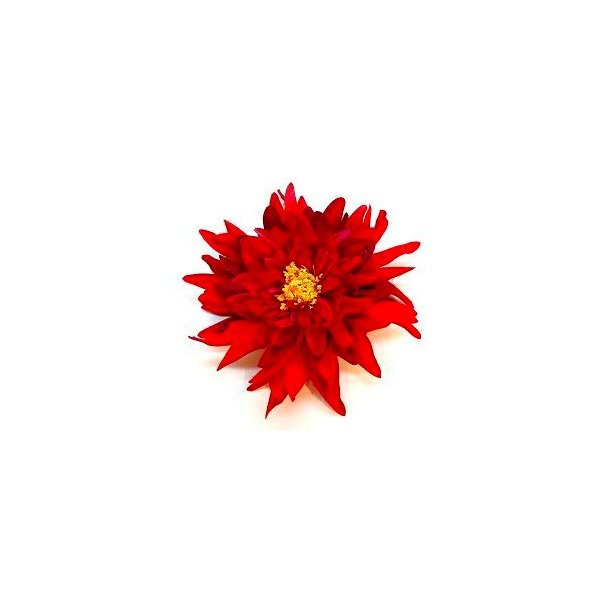Stjerne Dahlia - R�d