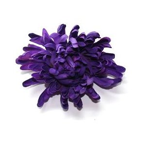  Dahlia Spiked - Lilla