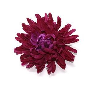 Dahlia Spiked - Pink