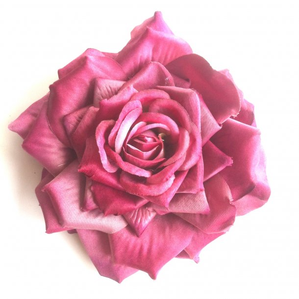 Stor rosa rose